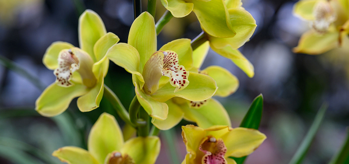 Sensory Inclusive Time