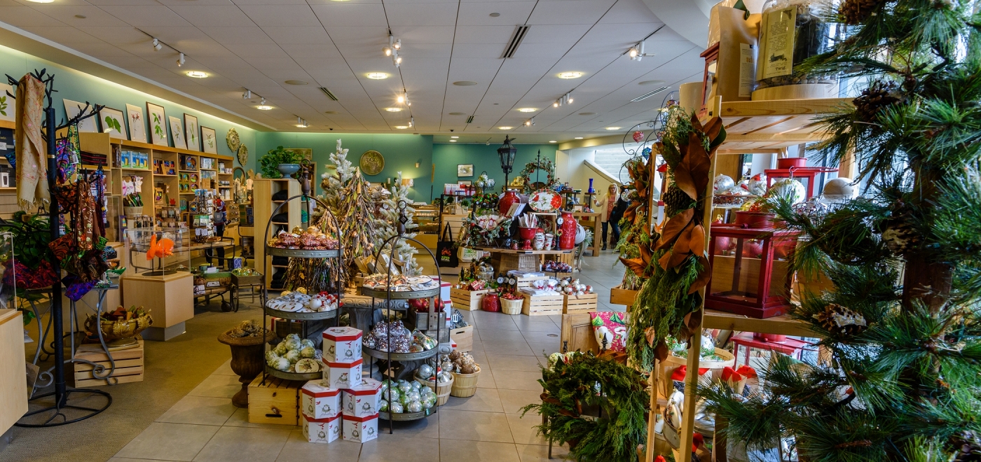 shop shop