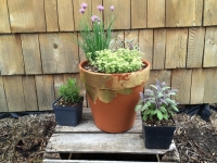 Gardening and Botanical Crafts Gardening and Botanical Crafts