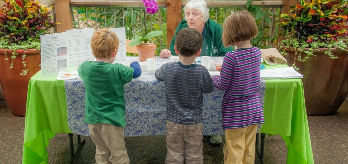 Discovery Programs Discovery Programs