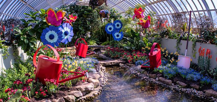 Spring Flower Show Member Night