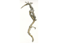NEW! Online Classes NEW! Online Classes