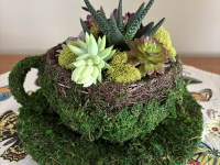 Down The Rabbit Hole with Phipps Adult Education