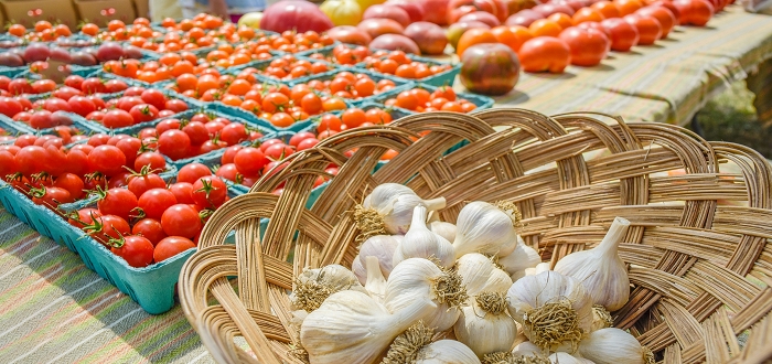 Tomato and Garlic Day Tomato and Garlic Day