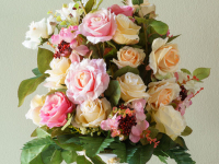 NEW! Online Classes NEW! Online Classes