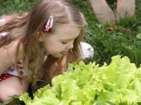 Little Sprouts: Summer Camps Little Sprouts: Summer Camps