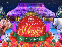 Phipps Virtual Video Tours