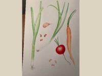 Online Classes Online Classes