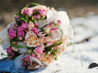 NEW! Online Classes NEW! Online Classes