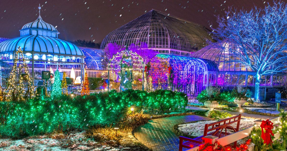 Winter Flower Show and Light Garden Holiday Magic! Phipps