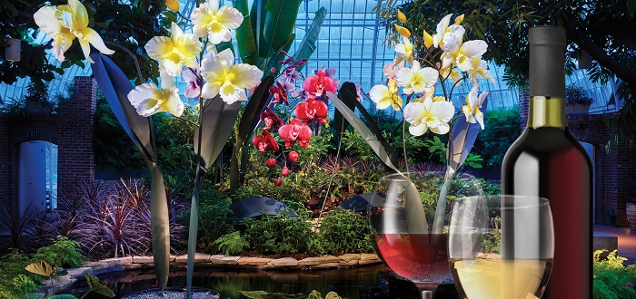 Wines Under Glass: A Night of Artful Pairings Wines Under Glass: A Night of Artful Pairings