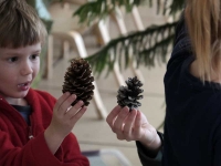 Little Sprouts: Winter Programs Little Sprouts: Winter Programs