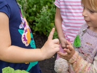 Little Sprouts: Winter Programs Little Sprouts: Winter Programs