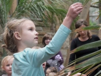 Little Sprouts: Winter Programs Little Sprouts: Winter Programs