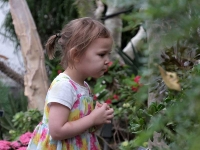 Little Sprouts: Winter Programs Little Sprouts: Winter Programs