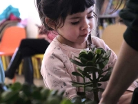 Little Sprouts: Winter Programs Little Sprouts: Winter Programs