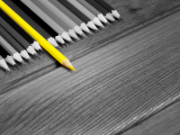 NEW! Online Classes NEW! Online Classes
